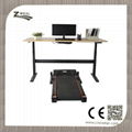 Ergonomic electric sit stand desk