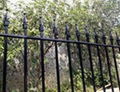 Steel Fence Panels with Extended Rod Top 1
