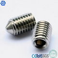 stainless steel Set Screw (DIN7504)