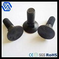 Countersunk Square Neck Bolts (ASME/ANSI