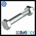 Staineless Steel Hex Bolt and Nut