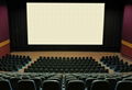 Large Cinema Screen