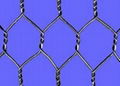 HEXAGONAL WIRE MESH 1