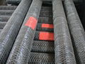 HEXAGONAL WIRE MESH 4