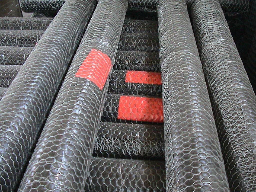 HEXAGONAL WIRE MESH 4