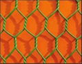 HEXAGONAL WIRE MESH 5