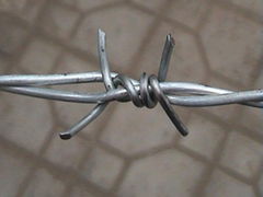 BARBED WIRE