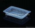 PP Disposable Small Plastic Food Tray