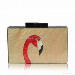 Acrylic Evening Bag w13033