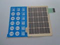 membrane switch 1