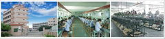 Dongguan Liansi Electronics Co., Ltd.