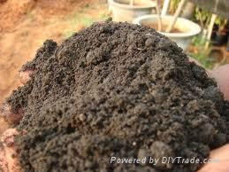 Vermicompost 4