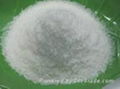 Desiccated coconut powder 1