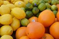 We are the biggest suppliers of fresh fruits  1