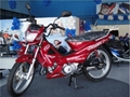 hot sale 110cc Cub Motorcycle 110cc Forza Moto 4