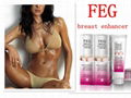 wonderful breast enhancer cream FEG