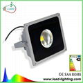 COB LED Flood light    