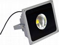 COB LED Flood light     2