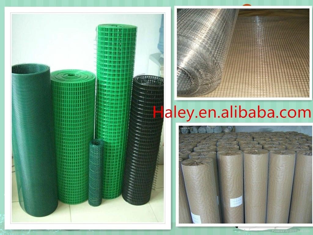 welded wire mesh roll(29 years factory)