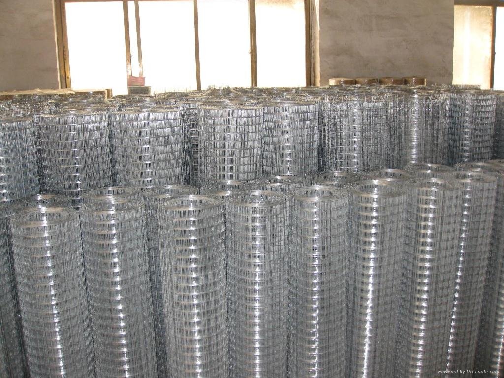 welded wire mesh roll(29 years factory) 4