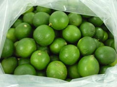 Fresh Seedless Lime