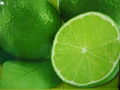 Fresh Seedless Lime 2