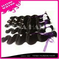 Tena Luxury and Elegant Brazilian Wavy Remy Human Hair Extension 1