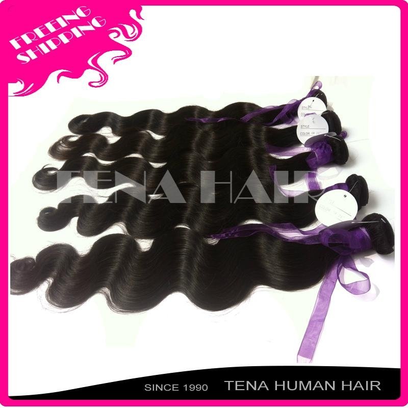 Tena Luxury and Elegant Brazilian Wavy Remy Human Hair Extension