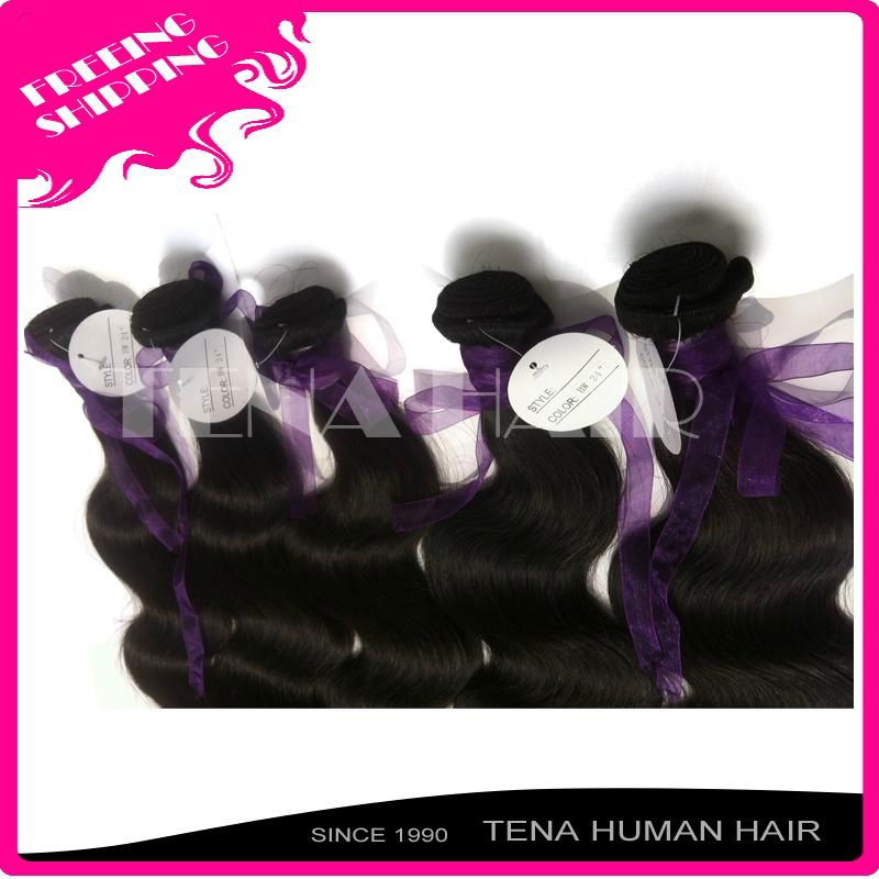 Tena Luxury and Elegant Brazilian Wavy Remy Human Hair Extension 2