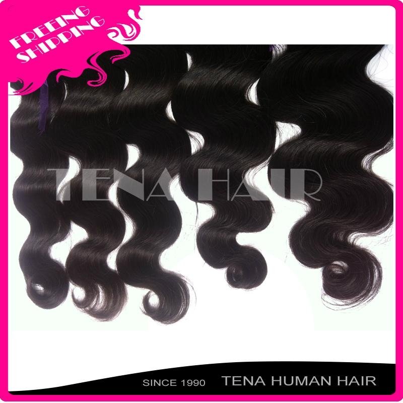 Tena Luxury and Elegant Brazilian Wavy Remy Human Hair Extension 3