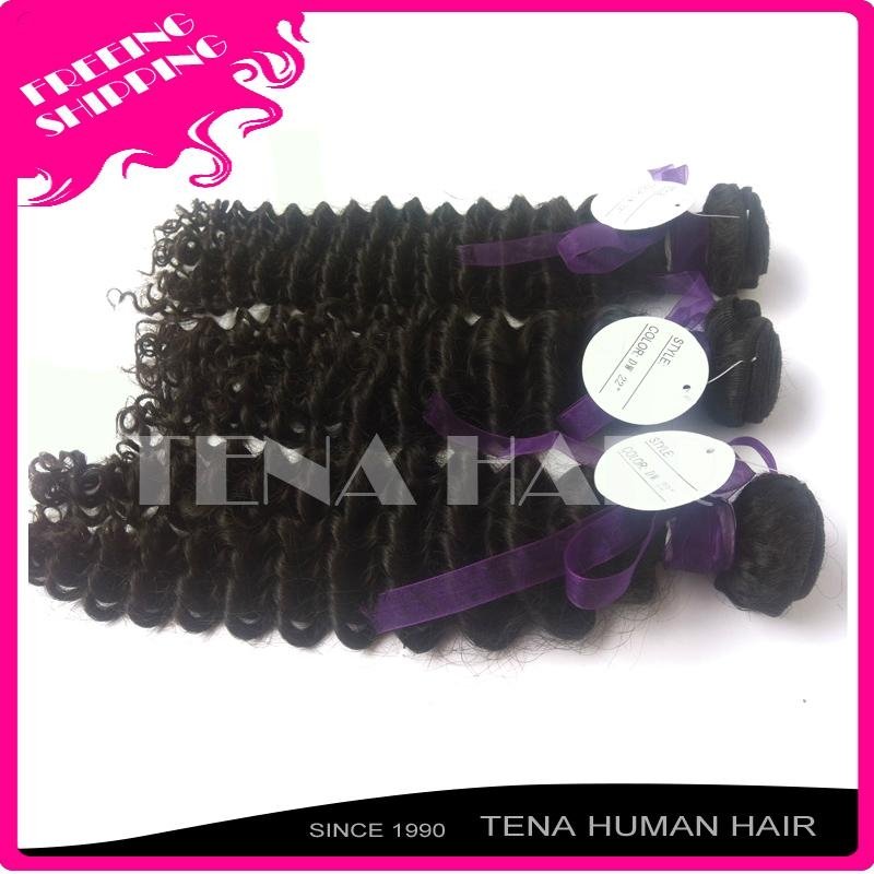 Tena Unique and Fashion Brazilian Curly Remy Human Hair Weft