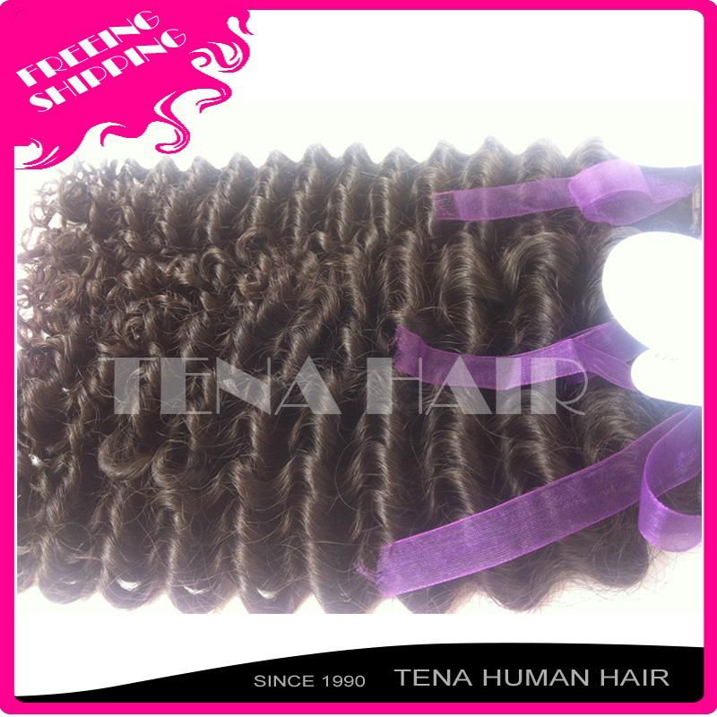 Tena Unique and Fashion Brazilian Curly Remy Human Hair Weft 2