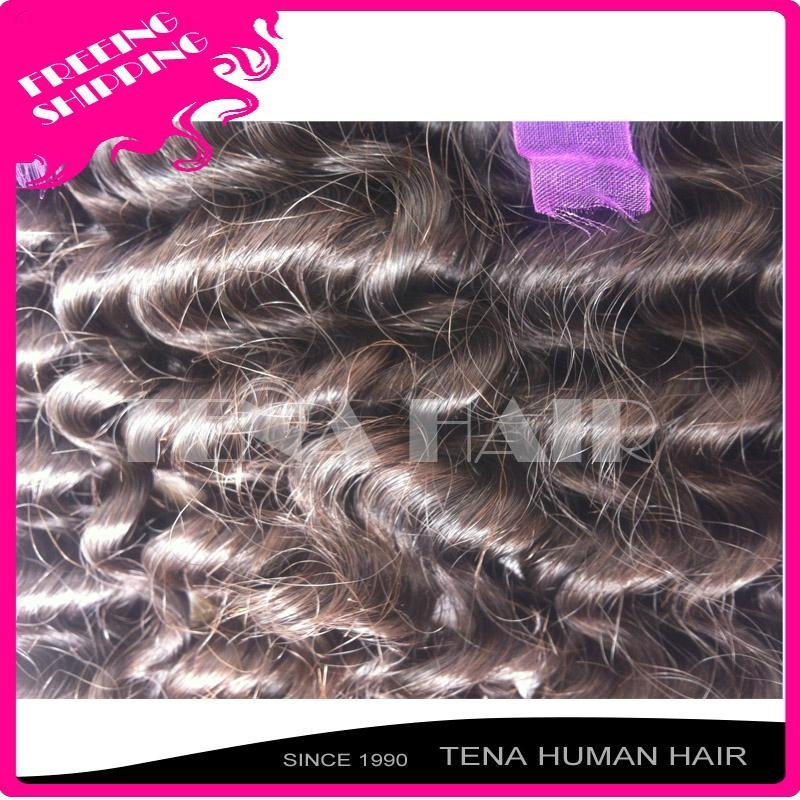 Tena Unique and Fashion Brazilian Curly Remy Human Hair Weft 3