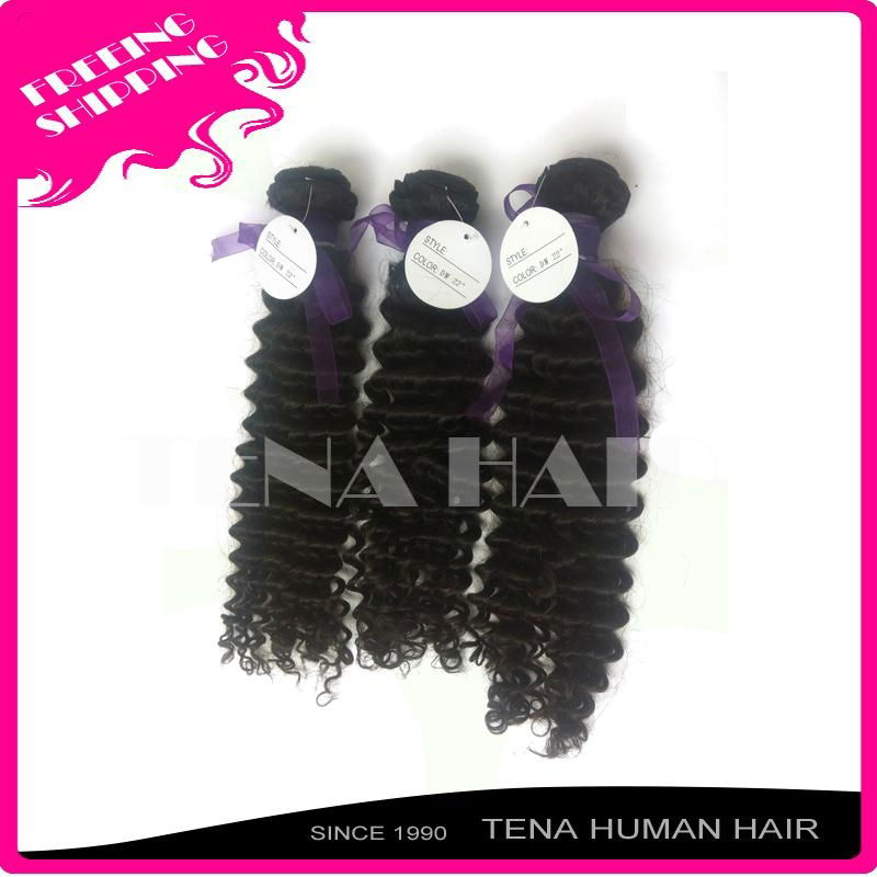 Tena Unique and Fashion Brazilian Curly Remy Human Hair Weft 4