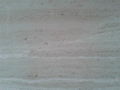 Italy grey serpeggiante white marble 2