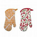 Oven Mitts 1