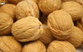  Walnut kernels 2