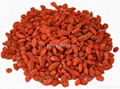 Organic DRIED goji berry 1