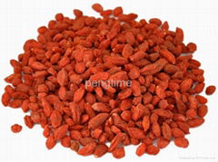 Organic DRIED goji berry