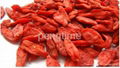 Organic DRIED goji berry 2