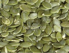 pumpkin seeds kernel 