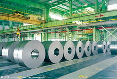 Qingdao Roelyn Steel Co., Ltd.