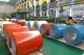 Prepainted steel coils PPGI 2