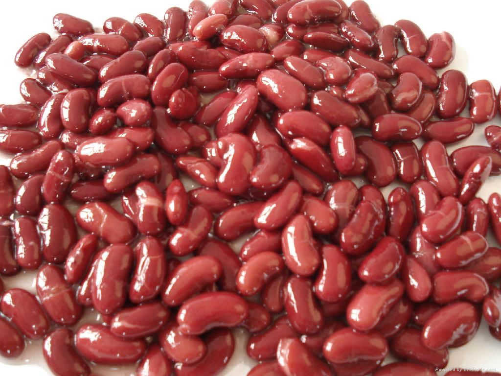 canned kidney beans 2