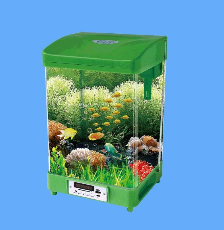 mini fish tank