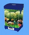 mini fish tank 2