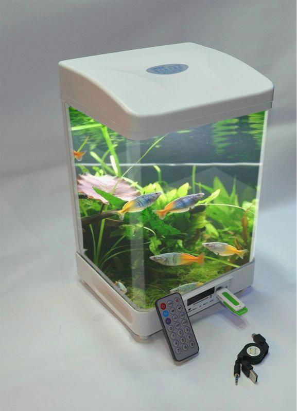 fish farm tank