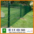 dark green color double wire mesh