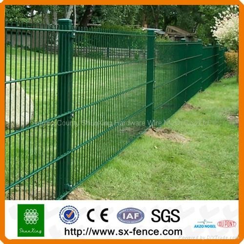 dark green color double wire mesh