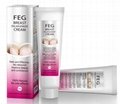 2014 natural FEG Breast Enlargement Cream product for big breast 4